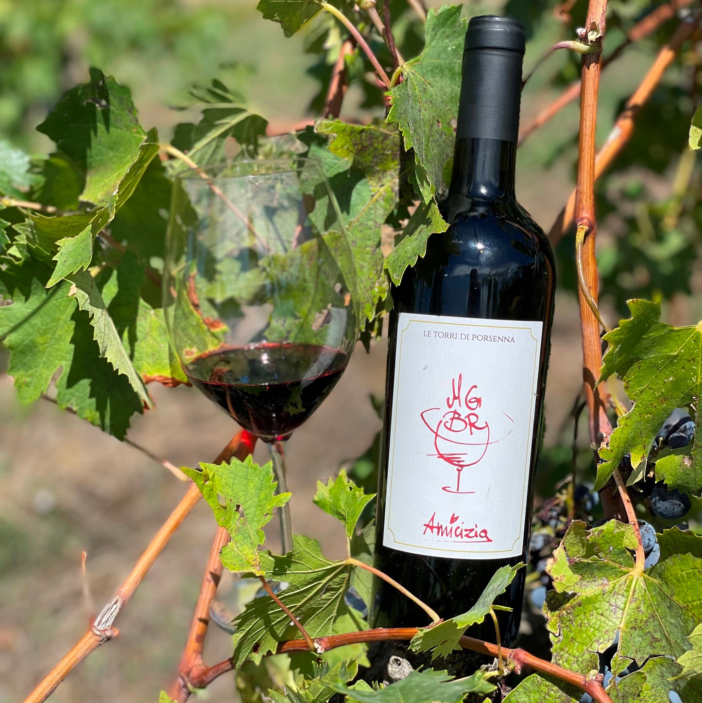 AMICIZIA - Vino Rosso de Le Torri di Porsenna - 1 Bottiglia